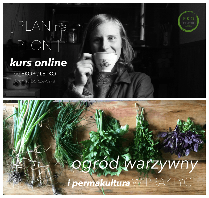 This image has an empty alt attribute; its file name is screen-shot-2020-10-18-at-20.33.09.png